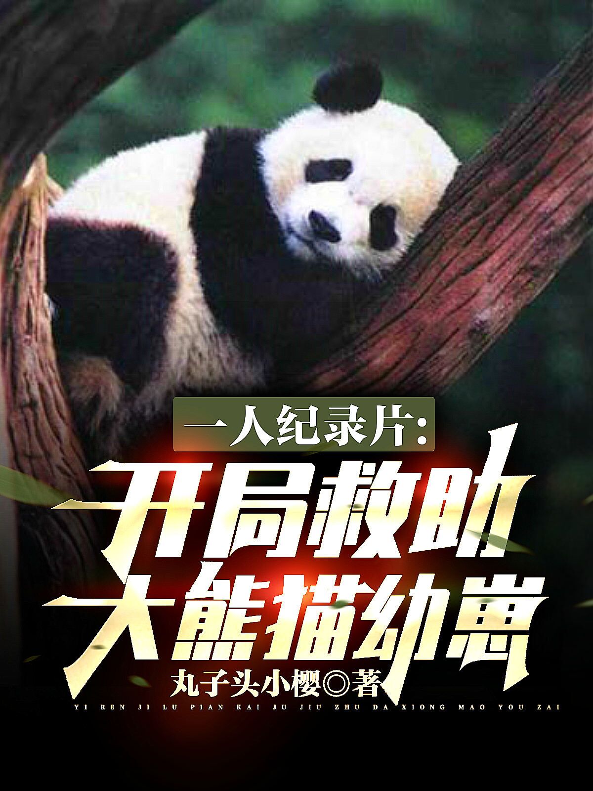 楚泽小说最新章节免费看，一人纪录片：开局救助大熊猫幼崽完整版在线阅读