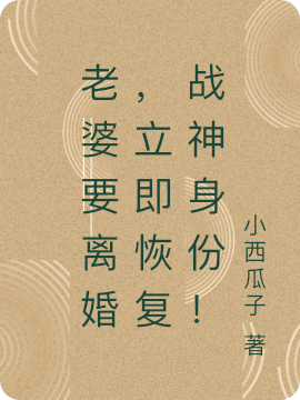 老婆要离婚，立即恢复战神身份！（叶天）在线免费阅读-够力荐小说推荐网