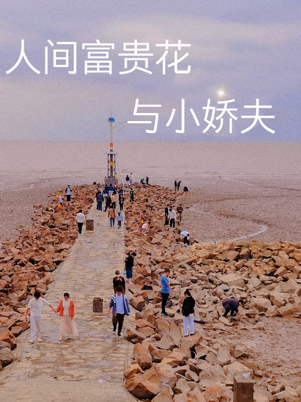 男女主人公顾景深宋可心小说人间富贵花与小娇夫全文免费阅读