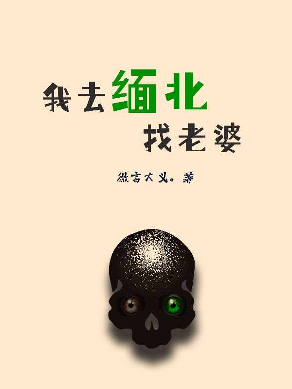我去缅北找老婆小说，我去缅北找老婆最新章节