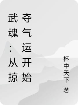 武魂：从掠夺气运开始小说，武魂：从掠夺气运开始在线阅读-读书翁