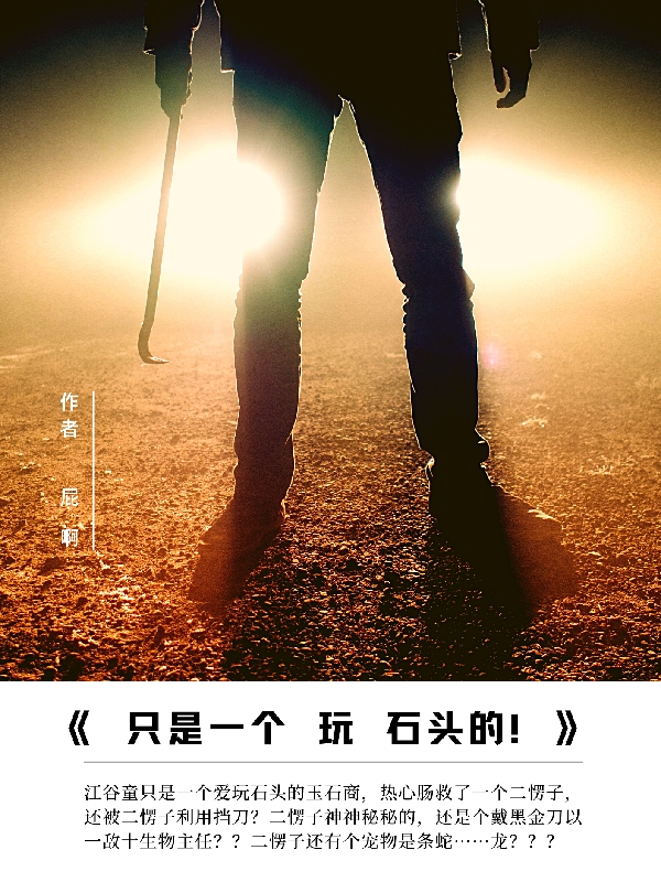只是一个玩石头的免费阅读