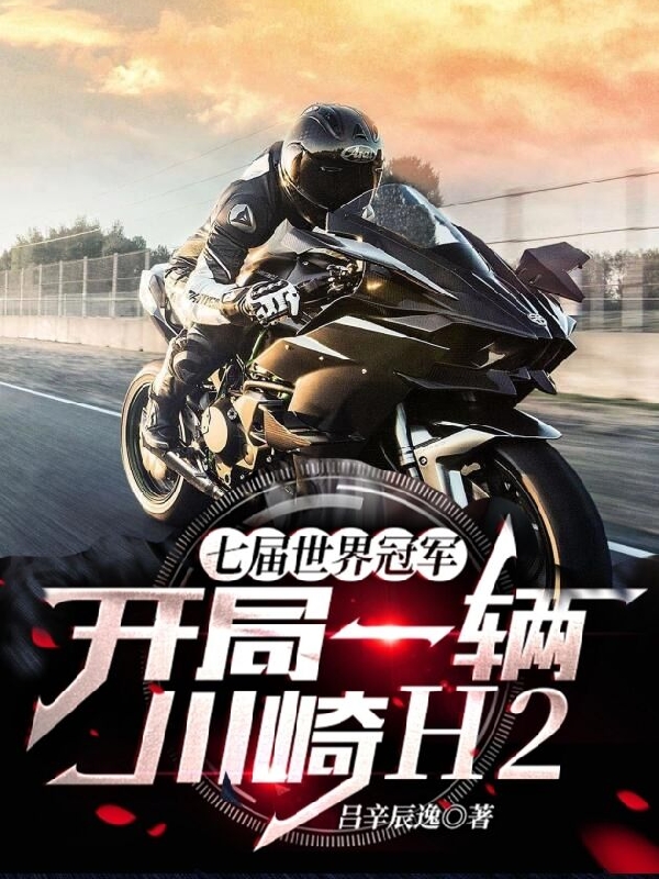 七届世界冠军，开局一辆川崎H2小说，七届世界冠军，开局一辆川崎H2最新章节-个性文学