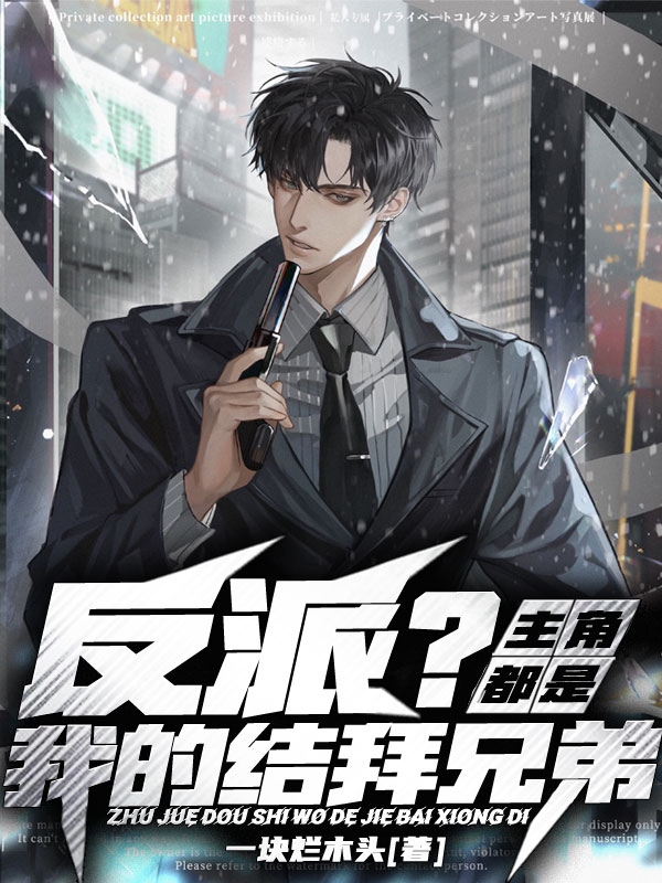 《反派？主角都是我的结拜兄弟！》小说章节列表免费试读，杨天小说在线阅读-美文小说