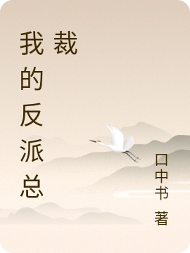 主人公方圆君舟客小说我的反派总裁在线全文阅读