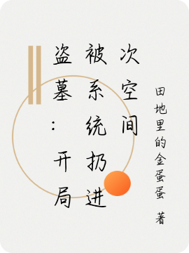 盗墓:开局被系统扔进次空间最新章节（洛澜小说全文阅读）-够力荐小说推荐网