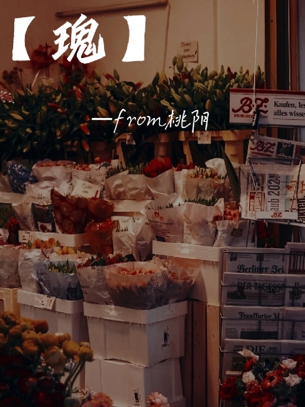 主角女孩小说【瑰】免费阅读