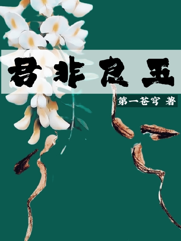 主角是梁玉陆拂衣的小说君非良玉在哪里可以免费阅读