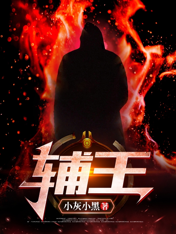 求辅王小说免费资源