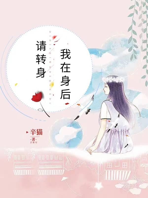 请转身，我在身后小说，请转身，我在身后最新章节