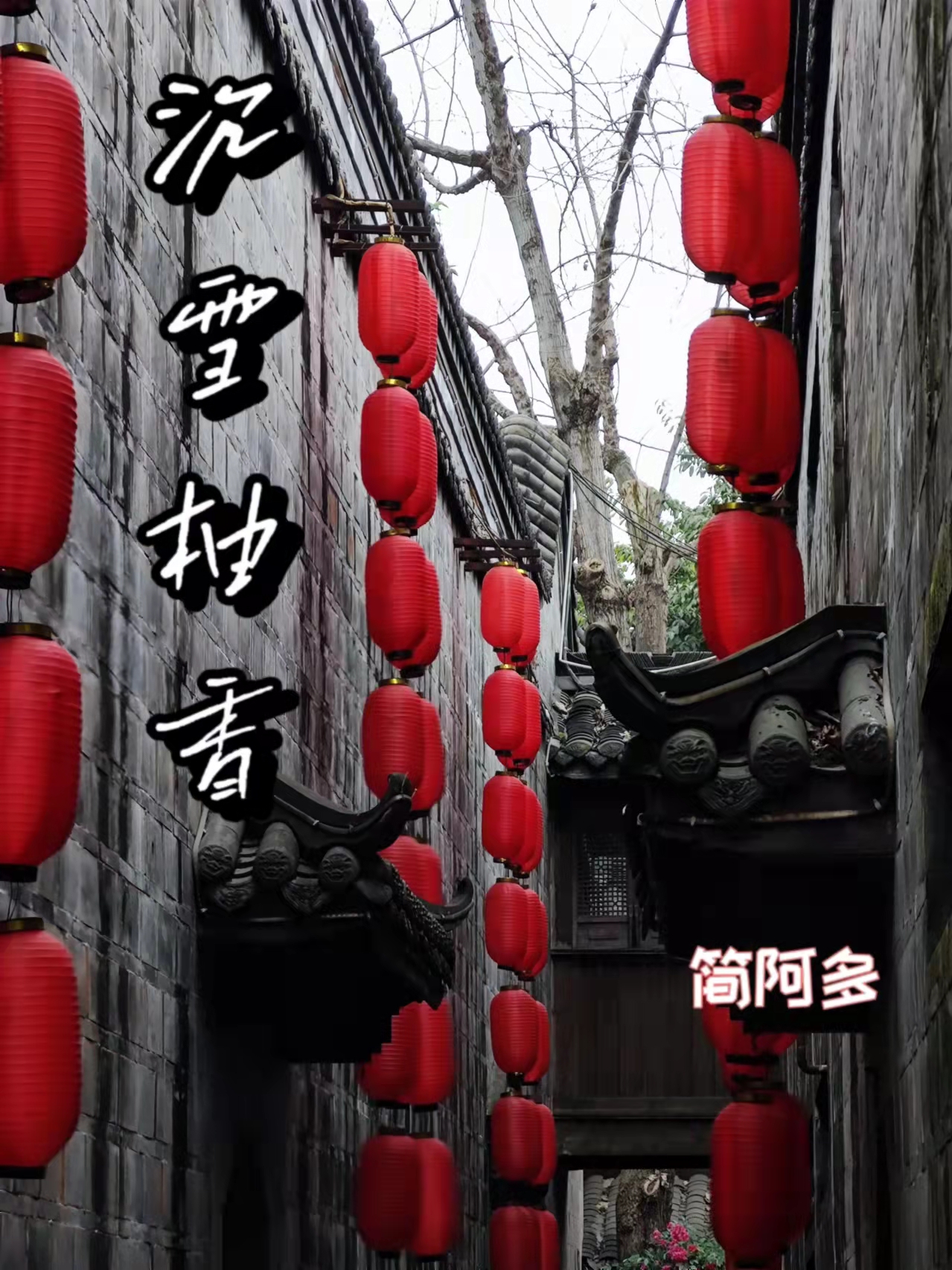 苏梓柚许牧铖小说在哪可以免费看，沉雪柚香全文免费阅读