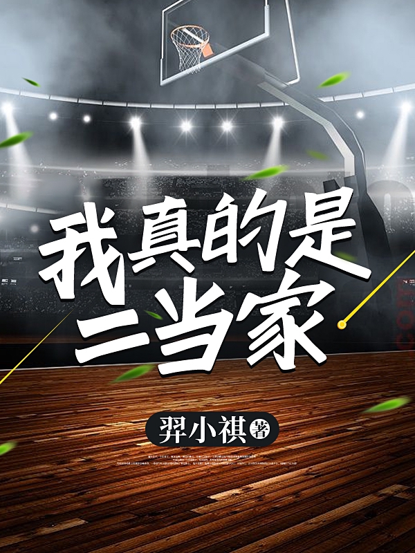 《我真的是二当家》小说全文在线试读，《我真的是二当家》最新章节目录