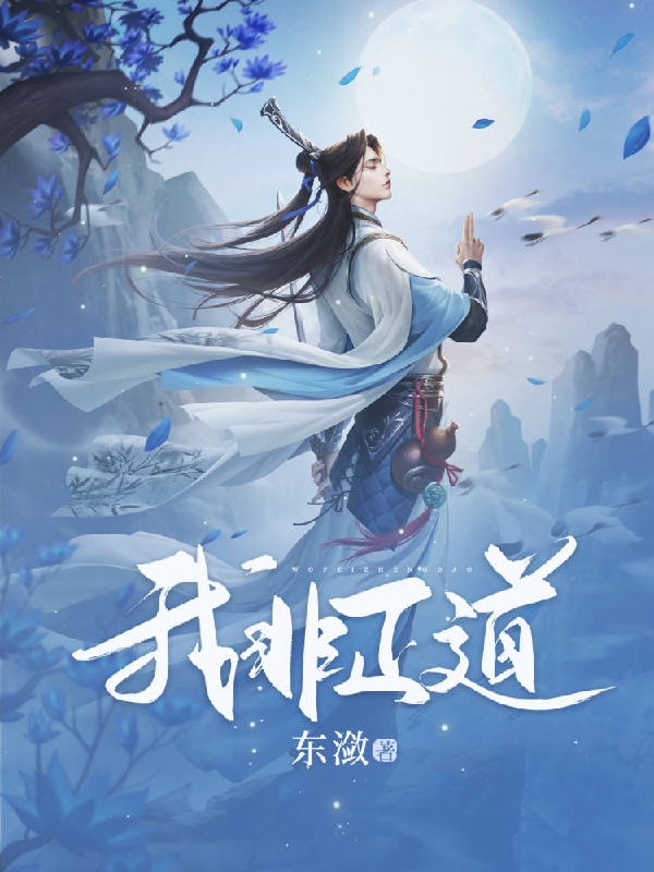 小说《我非正道》全文免费阅读