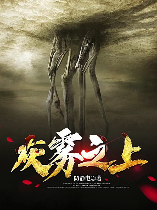 主角林善小说灰雾之上免费阅读