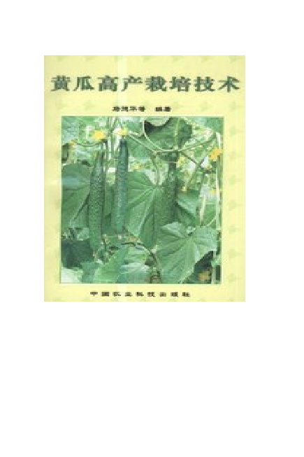 黄瓜高产栽培技术