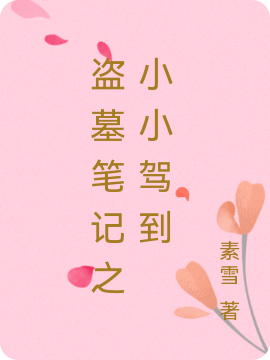 已完结小说《盗墓笔记之小小驾到》在线全文阅读