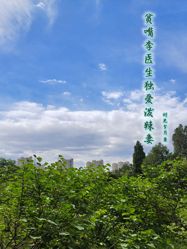 已完结小说《贫嘴李医生独爱泼辣妻》最新章节