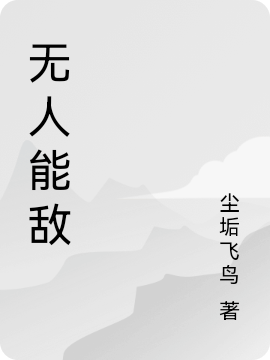 李天一小说叫什么（无人能敌免费阅读）