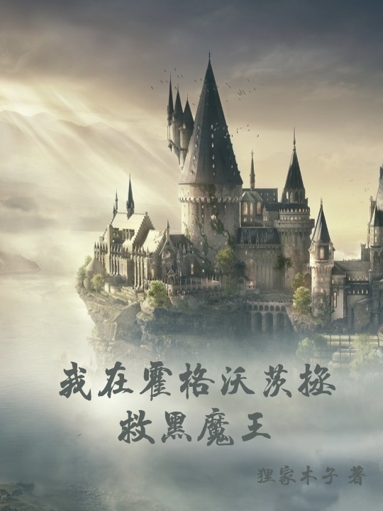 已完结小说《我在霍格沃茨拯救黑魔王》在线全文阅读-美文小说