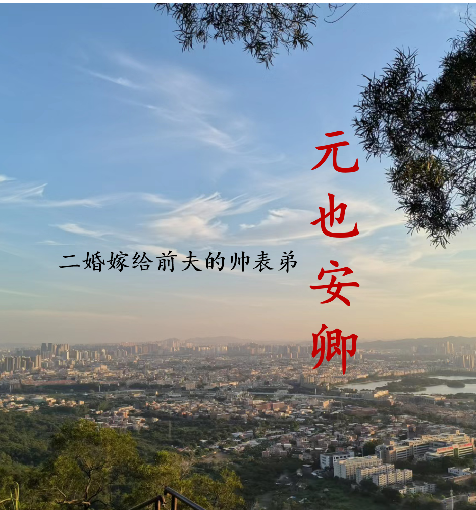 求元也安卿：二婚嫁给前夫的帅表弟小说免费资源