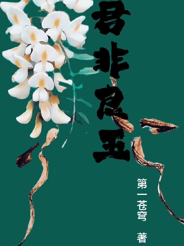 梁玉陆拂衣小说在线全文免费阅读（君非良玉无弹窗无删减）
