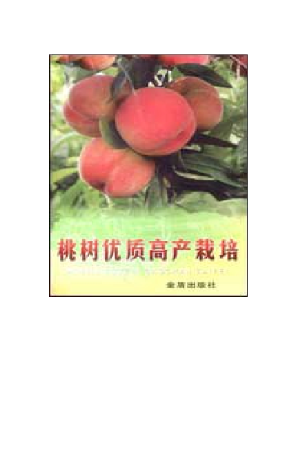 桃树优质高产栽培