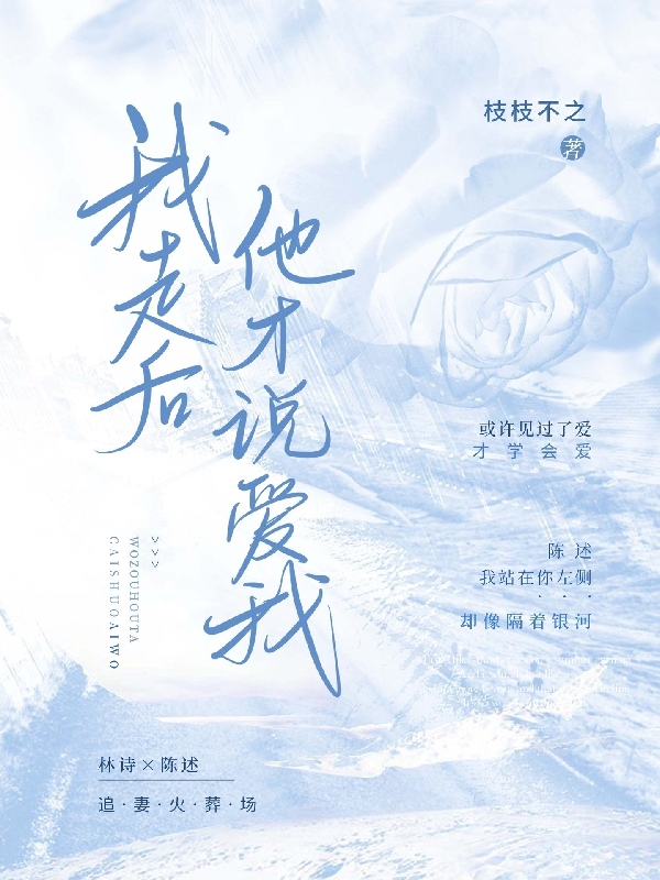我走后他才说爱我林诗陈述在线全文免费阅读