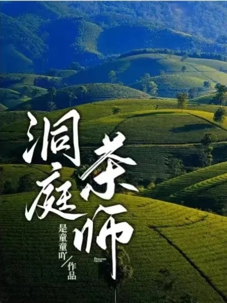 洞庭茶师小说完整版全文免费阅读