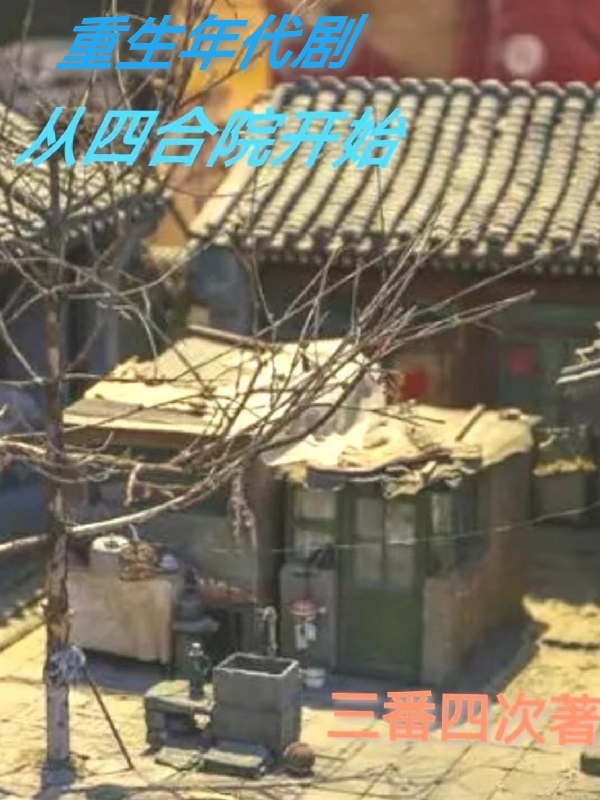 重生年代剧，从四合院开始林飞小说免费阅读-优文网