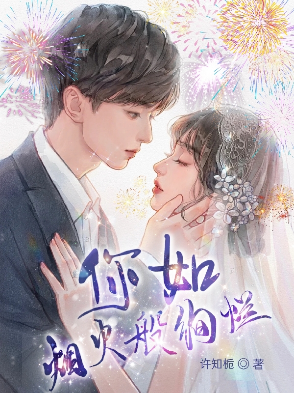 主角南风萧崖天小说你如烟火般绚烂免费阅读