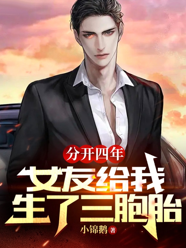 贺时南浔小说分开四年，女友给我生了三胞胎无广告阅读