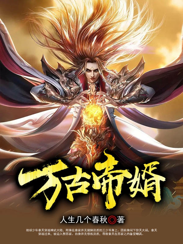 万古帝婿小说免费资源，万古帝婿在线阅读-读书翁