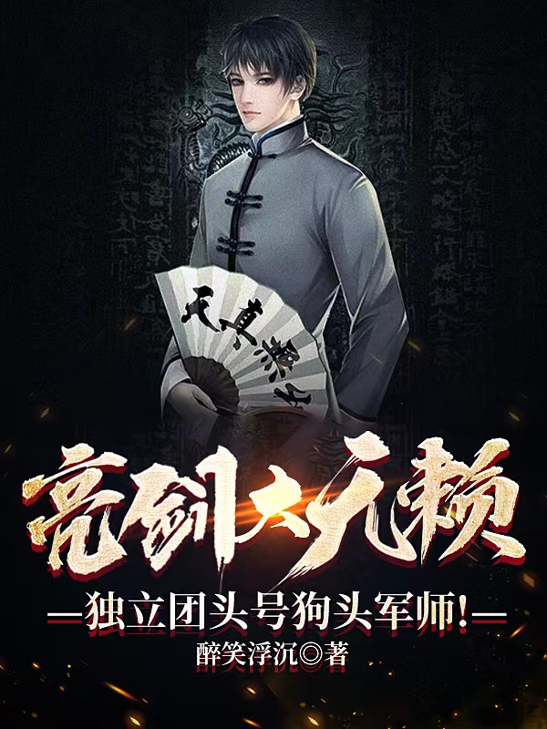 小说《亮剑大无赖，独立团头号狗头军师》全文免费阅读