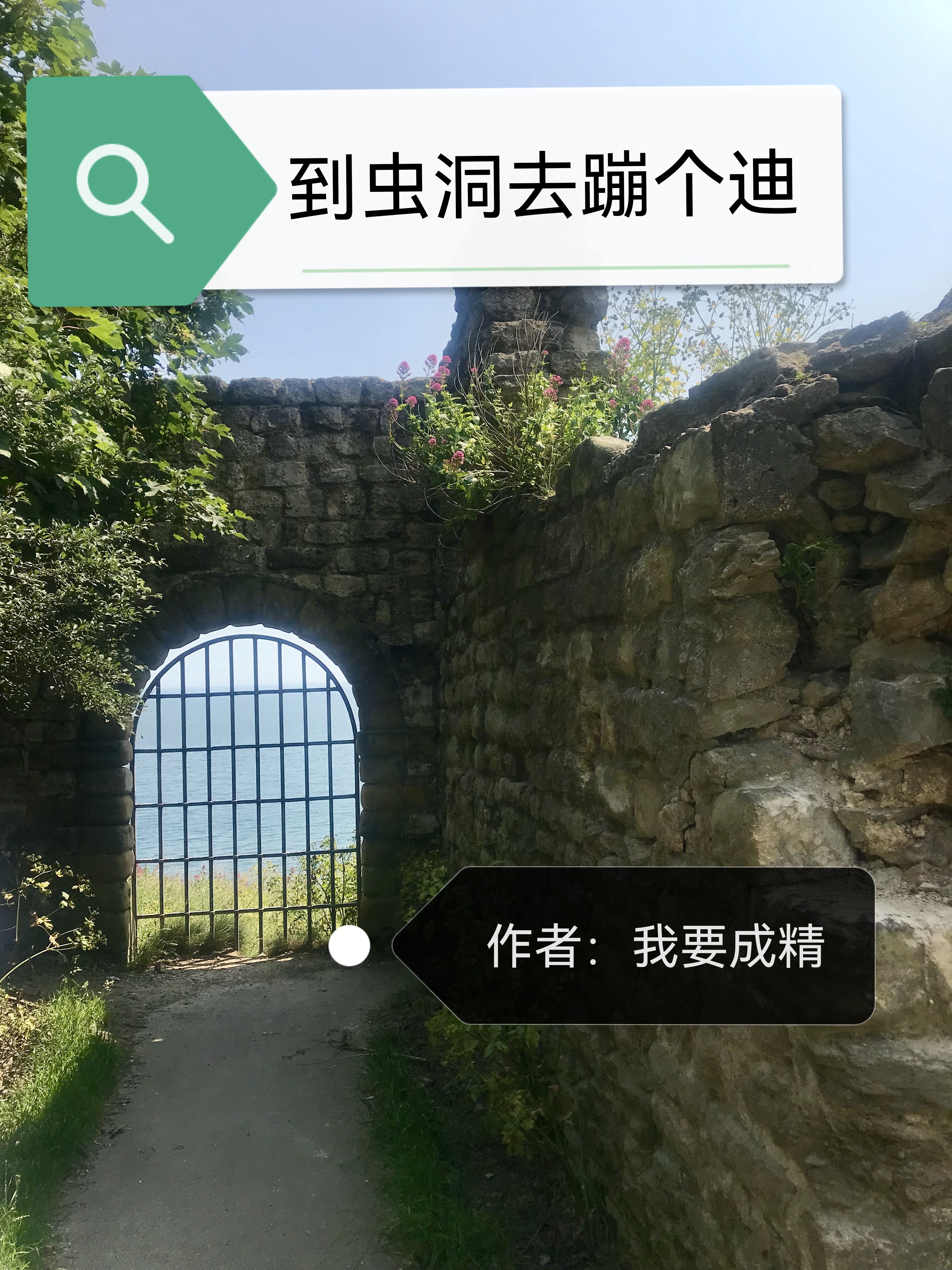 已完结小说《到虫洞去蹦个迪》全章节在线阅读-优文网