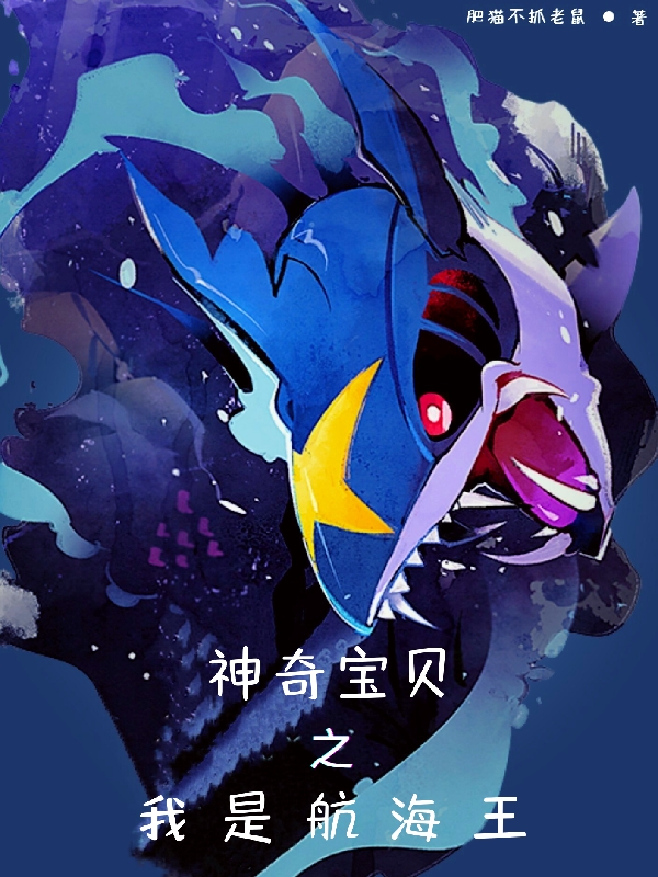 神奇宝贝之我是航海王免费阅读