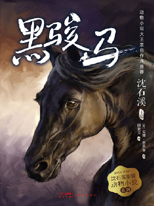 沈石溪挚爱动物小说系列：3.黑骏马