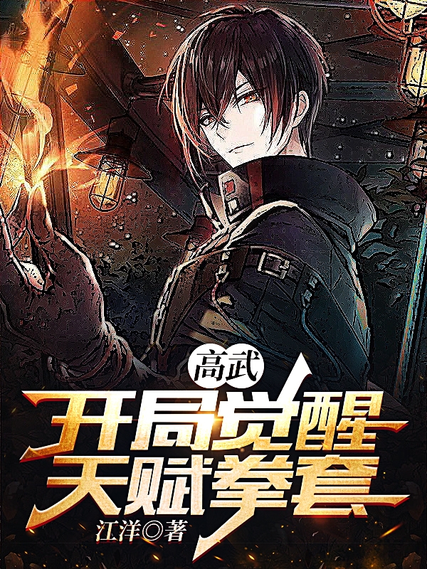 高武，开局觉醒天赋拳套李夜小说在线章节目录阅读最新章节-美文小说