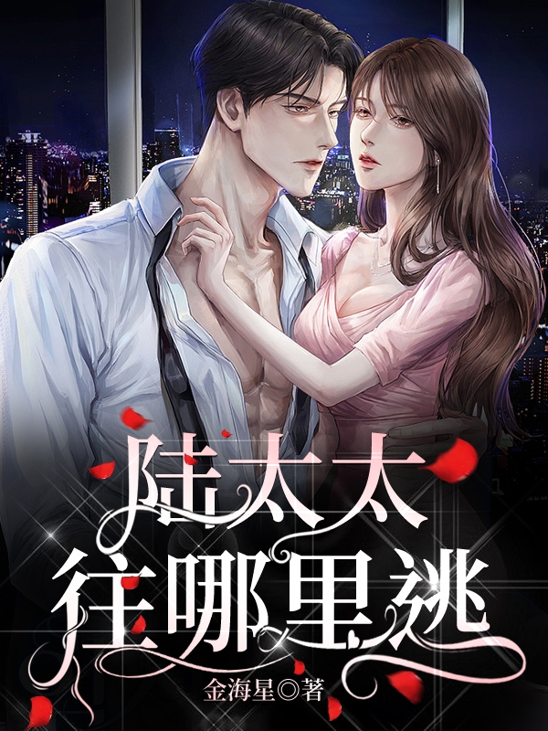 陆太太，往哪里逃小说免费资源，陆太太，往哪里逃在线阅读-瑞奇文学