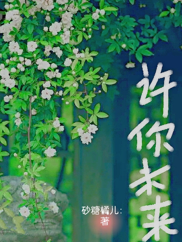 完整版《许你未来》免费阅读