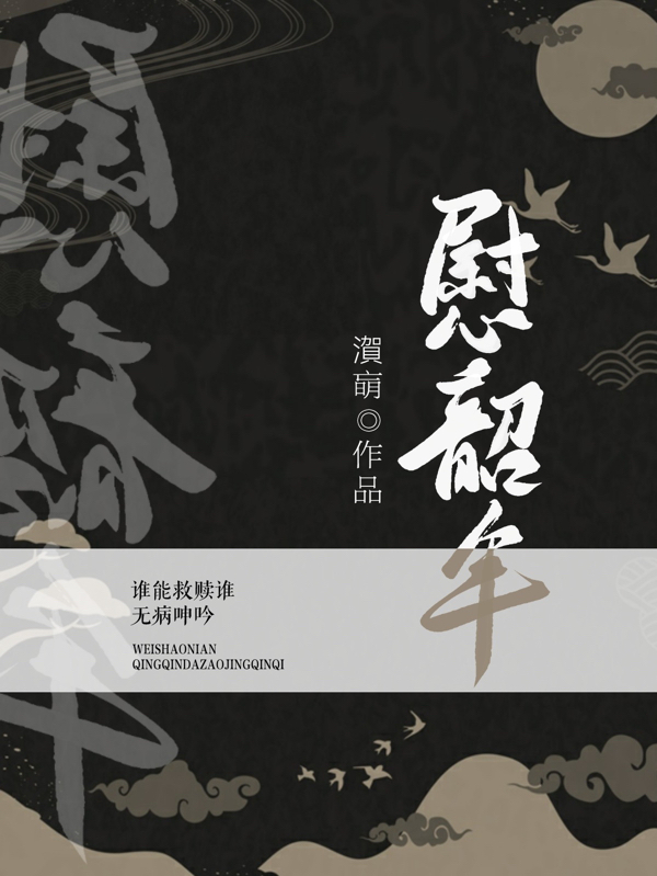 慰韶年免费阅读