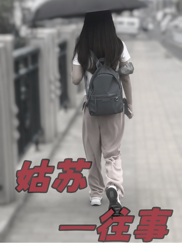 姑苏往事（何书桓王文婷）在线免费阅读