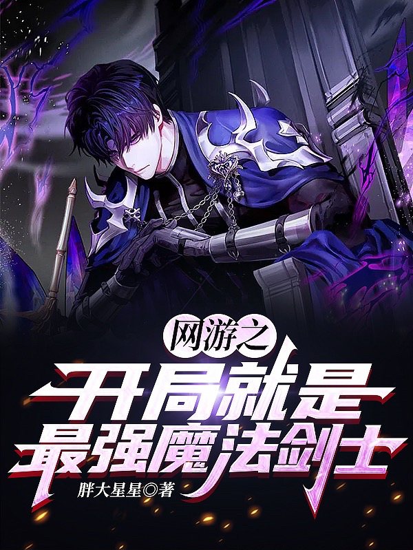 小说《网游之开局就是最强魔法剑士》全文阅读-瑞奇文学