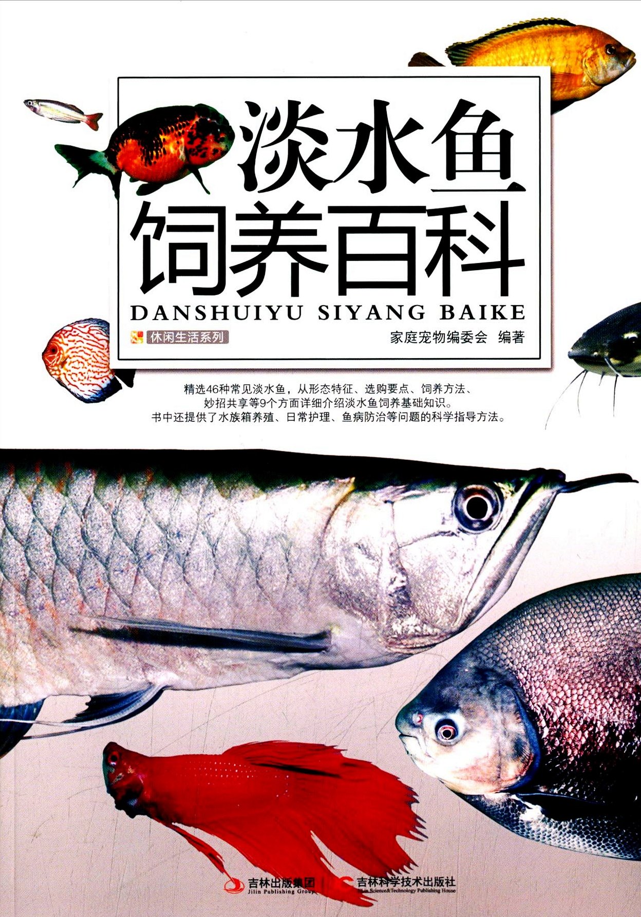 淡水鱼饲养百科
