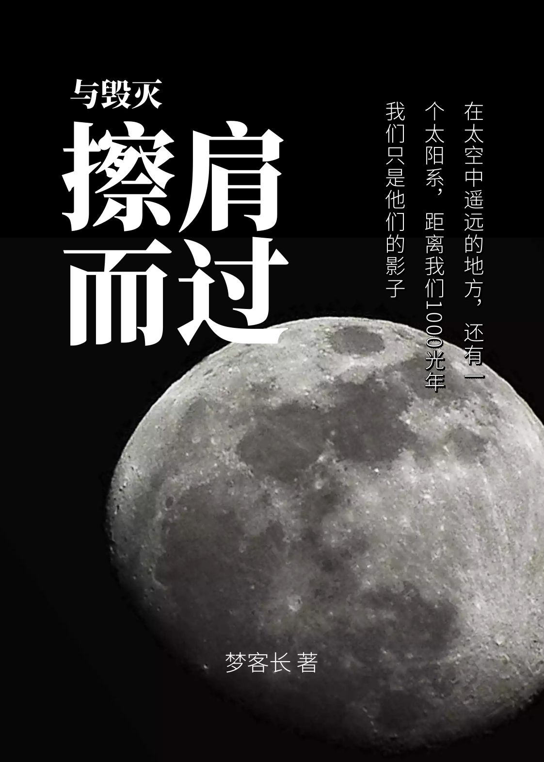 与毁灭擦肩而过（王大雷老杨）在线免费阅读