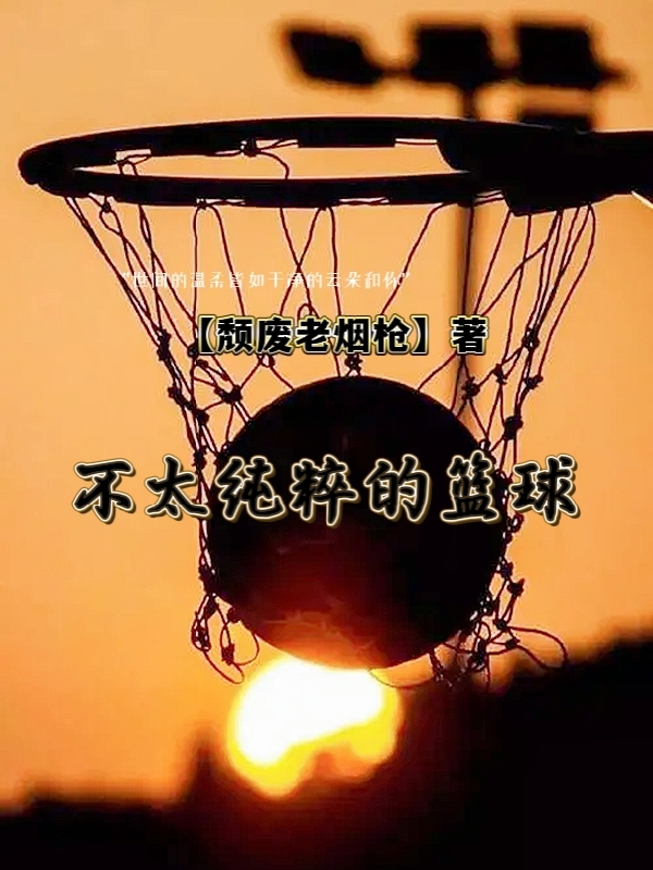 不太纯粹的篮球免费阅读