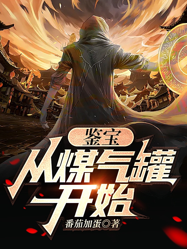 鉴宝：从煤气罐开始免费阅读