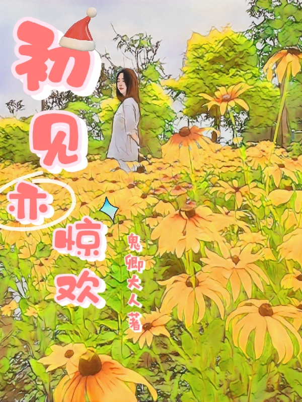 完整版《初见亦惊欢》免费阅读