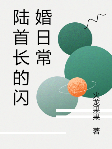陆与北向晚晚小说陆首长的闪婚日常完整版阅读