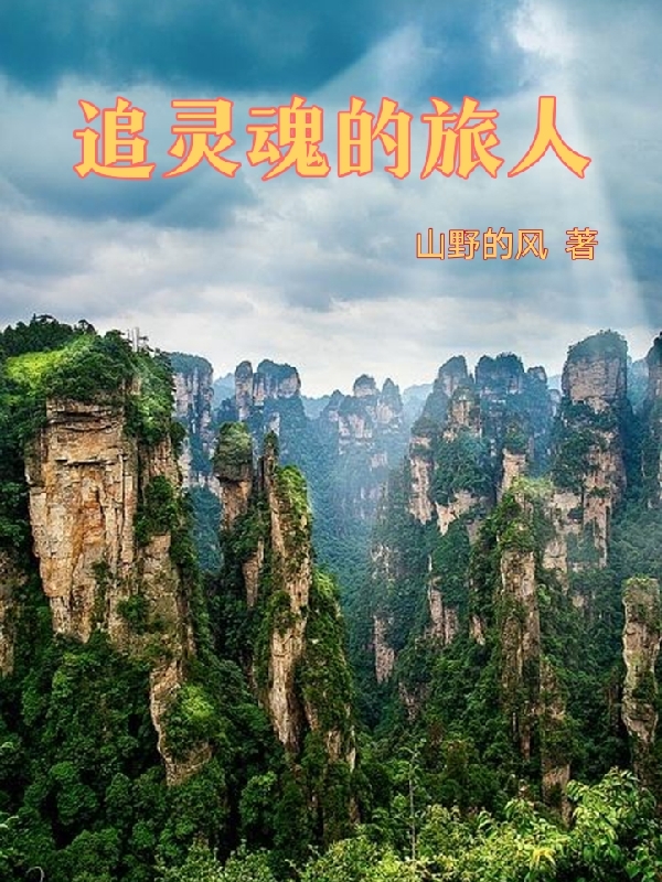 《追灵魂的旅人》全集免费在线阅读（任灵灵）