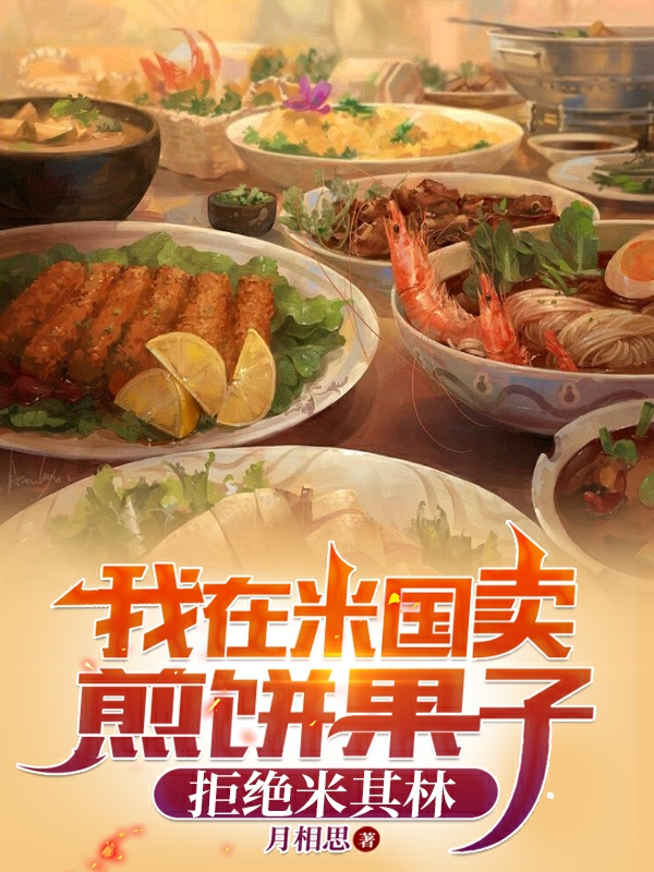 墨辰小说我在米国卖煎饼果子，拒绝米其林无广告阅读